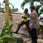 Tragis! Pria Tewas Tertabrak Kereta Api di Klari, Diduga Sengaja Diam di…