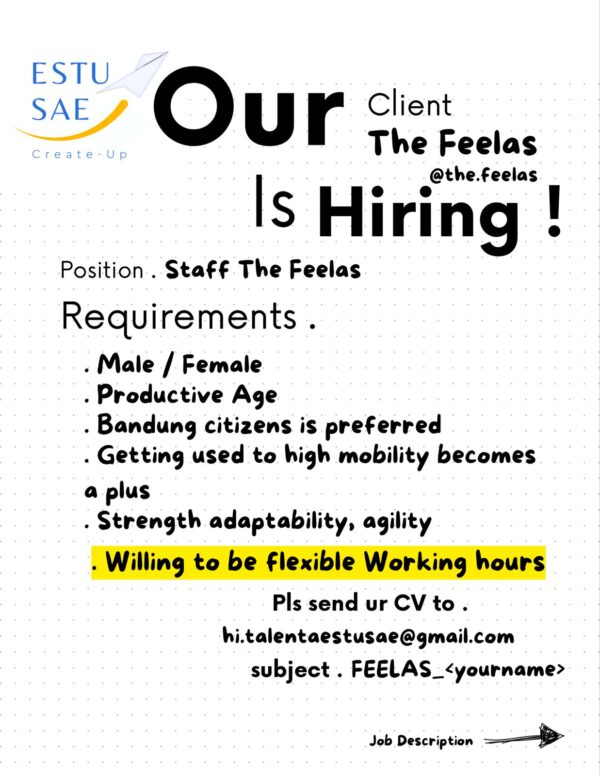 lowongan staff the feelas