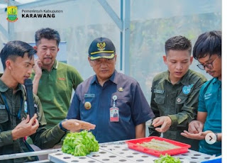 Karawang Bersatu Kembangkan Petani Muda dengan Teknologi Hidroponik