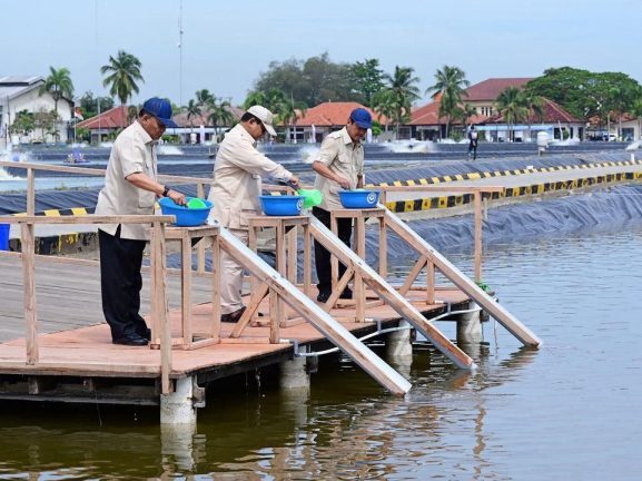 Prabowo Tinjau Kawasan BLUPPB Karawang : Dorong Swasembada Pangan Dan Pemerataan Ekonomi
