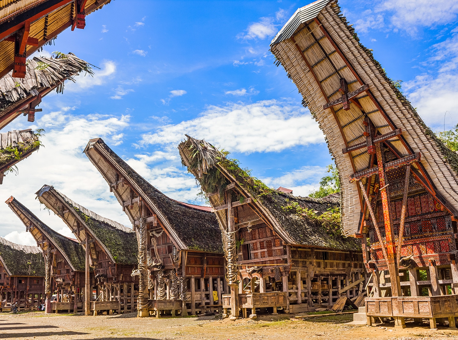 Rumah Adat Tongkonan: Warisan Budaya Kaya dari Tanah Toraja