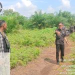 Labirin Konflik Temusai: Menagih Janji Kepastian Hukum di Perbatasan Dua Kabupaten