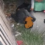 Fortuner Maut Hantam Dua Motor dan Lapak Akuarium, Dua Nyawa Melayang