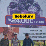 Sapuh Bersih Reklame Ilegal: Satpol PP Karawang Amankan Proyek Jalan Pedes–Sungaibuntu